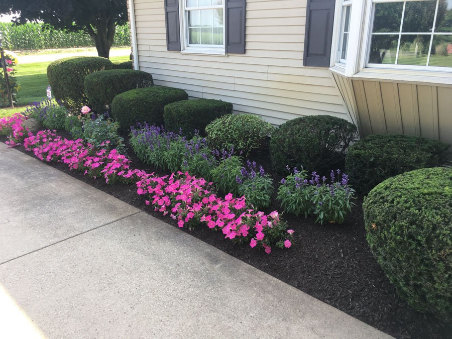 landscaping project