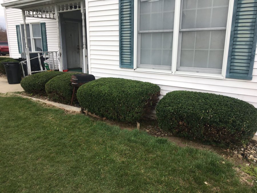 landscaping project