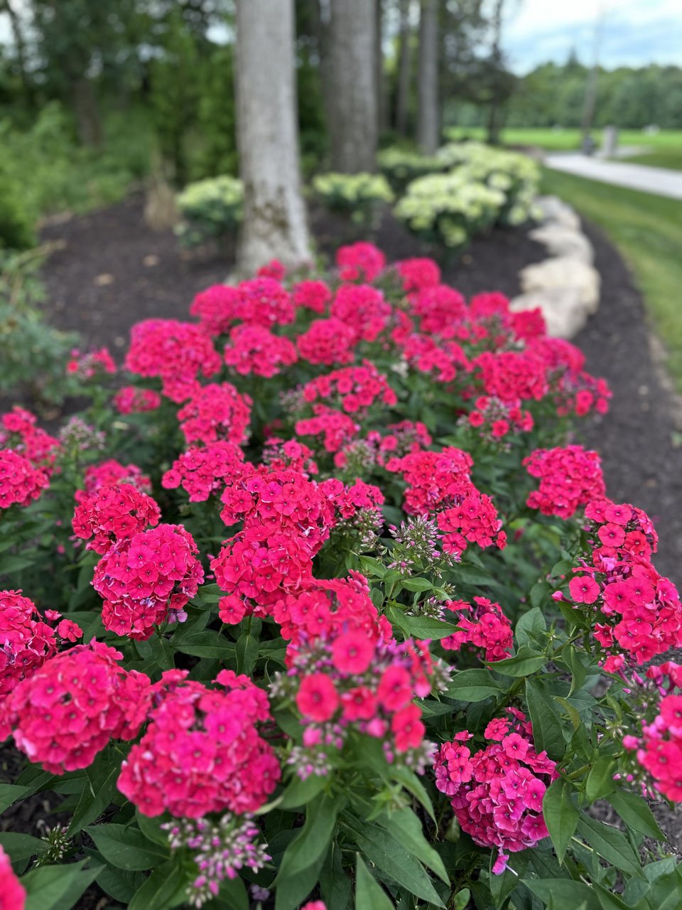 landscaping project 10