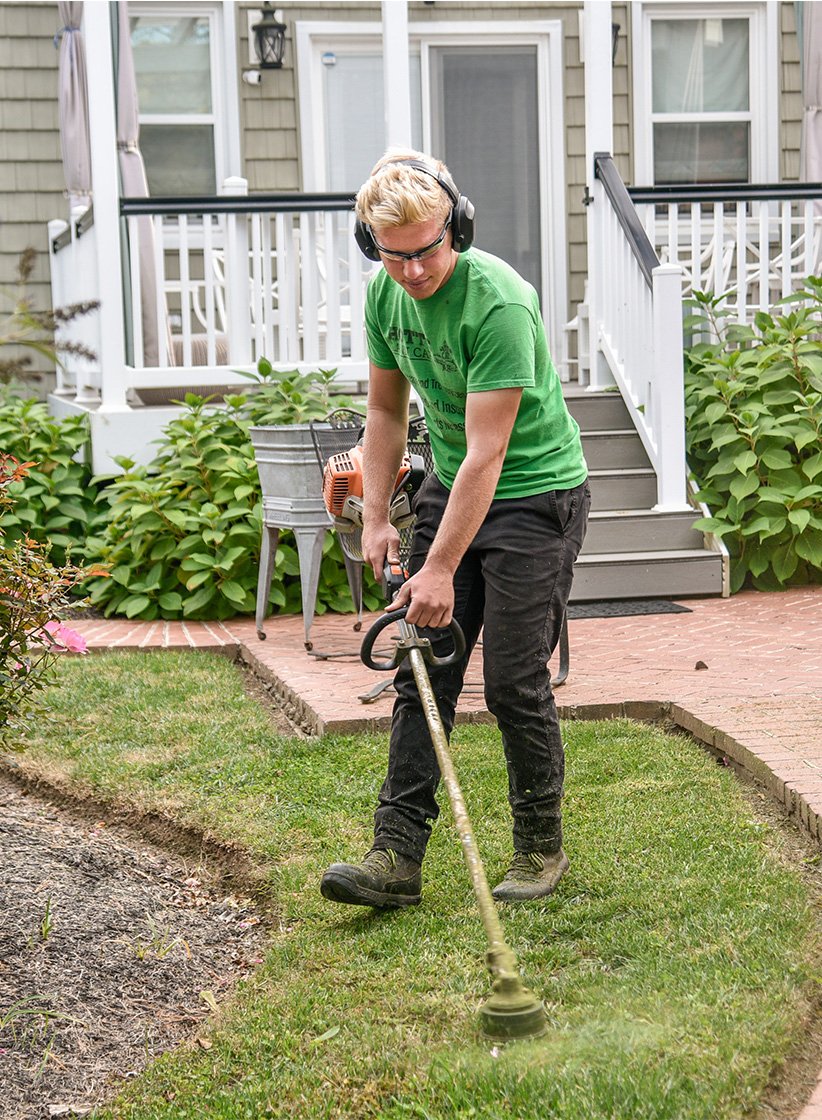 professional landscaping